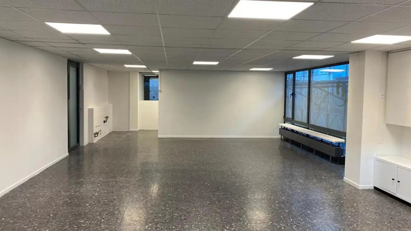 Shop for rent - Chemin du Champ-d'Anier 5, 1209 Genève - Photo 4