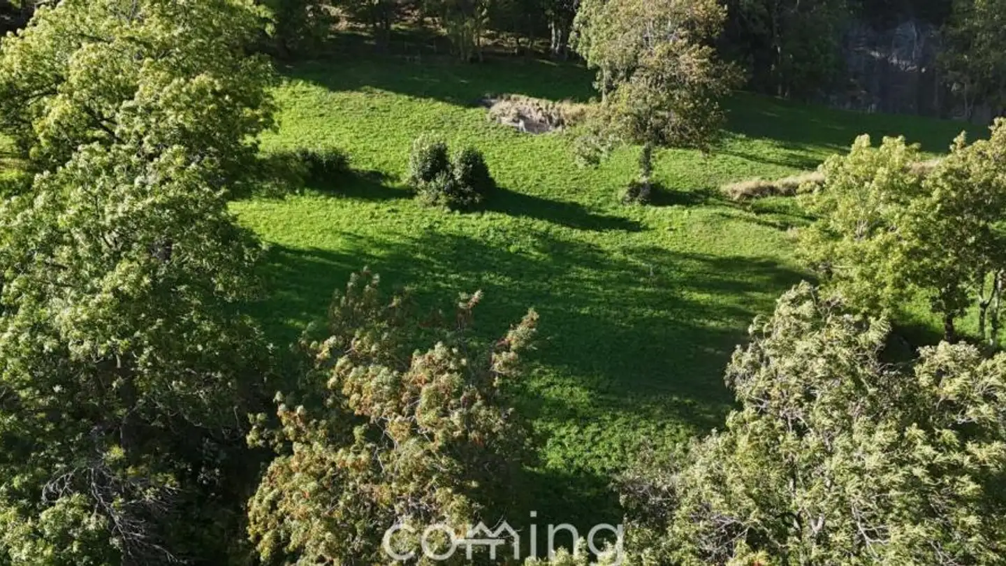 Constructible plot for sale - 3903 Mund - Photo 3