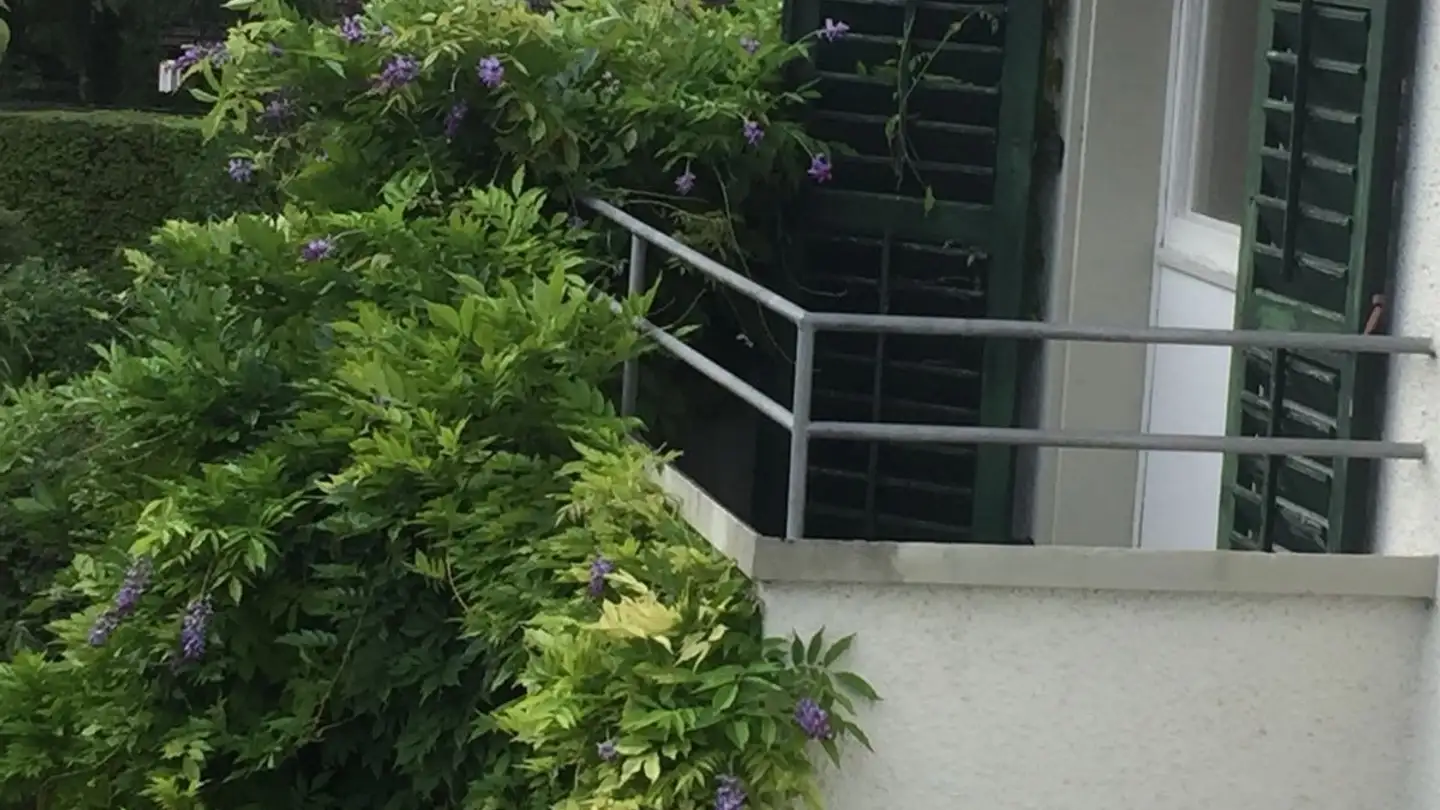 Appartement à louer - 4552 Derendingen