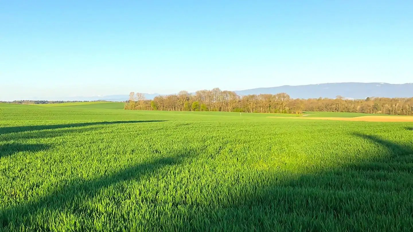 Maisonette kaufen - 1033 Cheseaux-sur-Lausanne - Foto 2