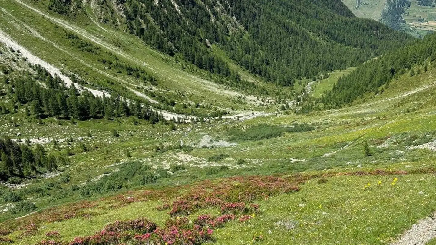 Appartamento in affitto - Stradun 28, 7543 Lavin - Photo 2