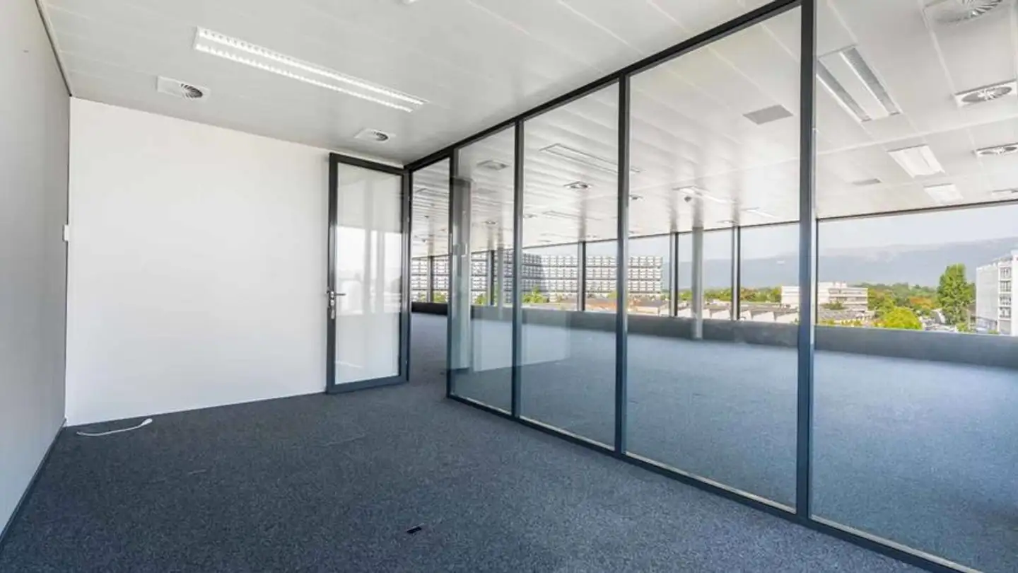 Spazio ufficio in affitto - Chemin Du Château-Bloch 11, 1219 Le Lignon - Photo 4