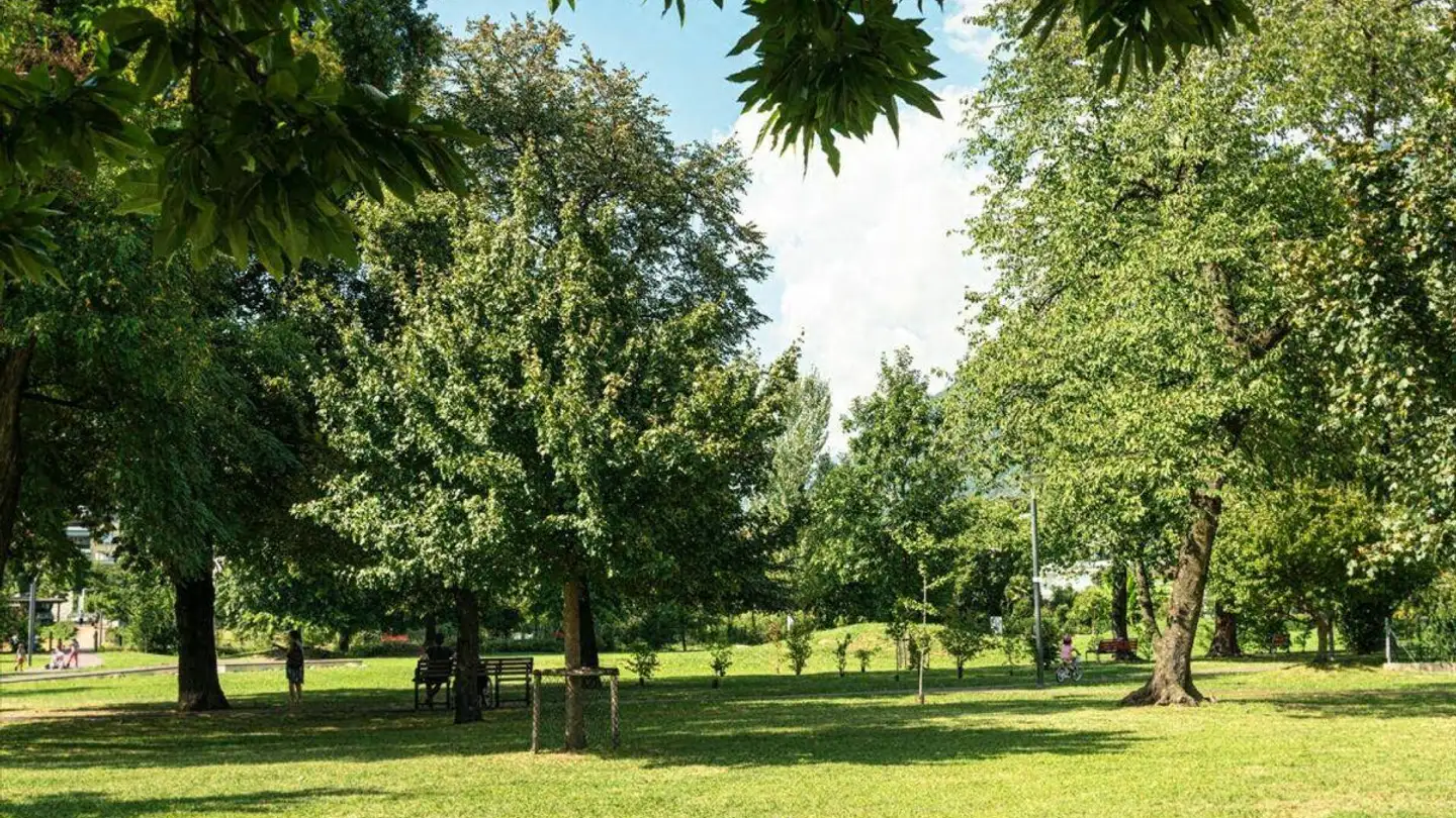 Appartamento in vendita - 6612 Ascona