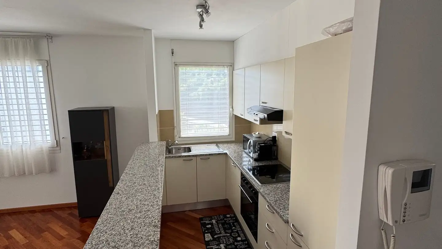 Appartement à louer - Via Calprino 4, 6900 Paradiso - Photo 3