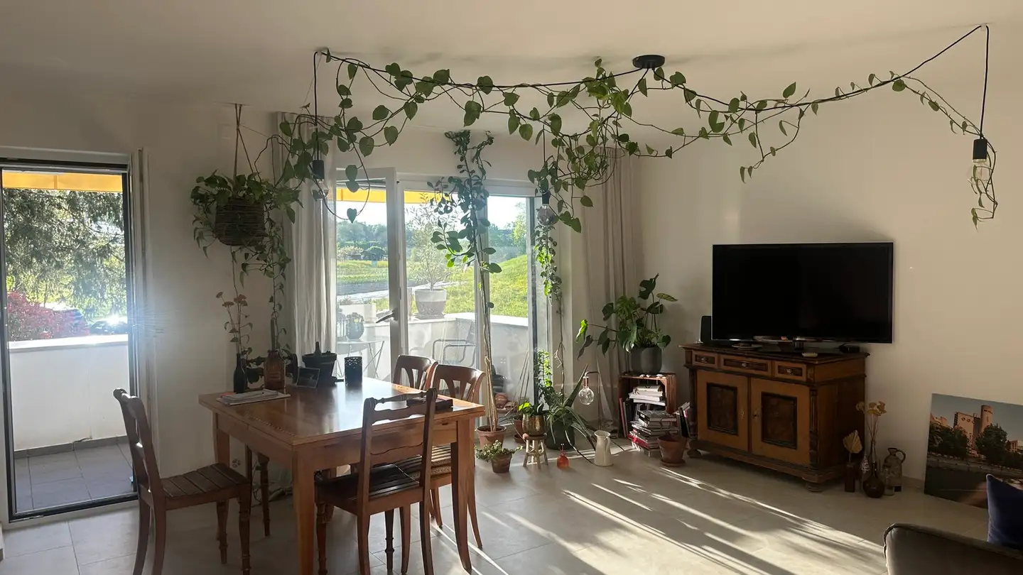 Wohnung mieten - 8048 Zürich