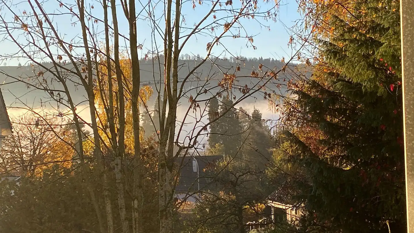 Appartamento in affitto - Gerhaldenstrasse 33, 9008 St. Gallen - Foto 3