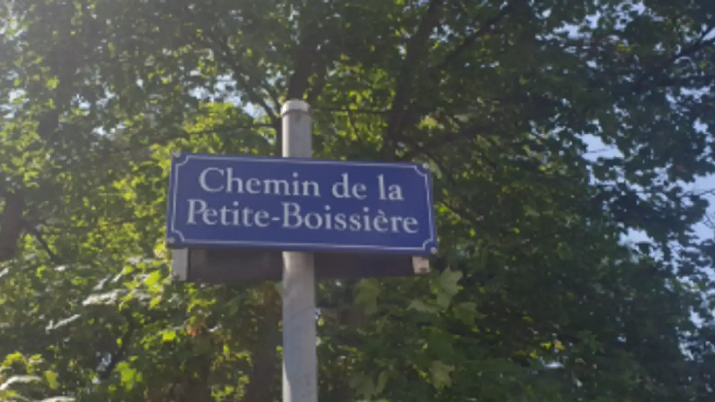 Appartamento in vendita - Chemin De La Chevillarde, 1224 Chêne-Bougeries