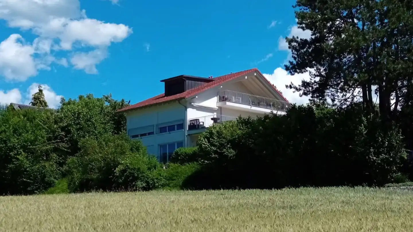 Duplex in affitto - 8607 Aathal-Seegräben