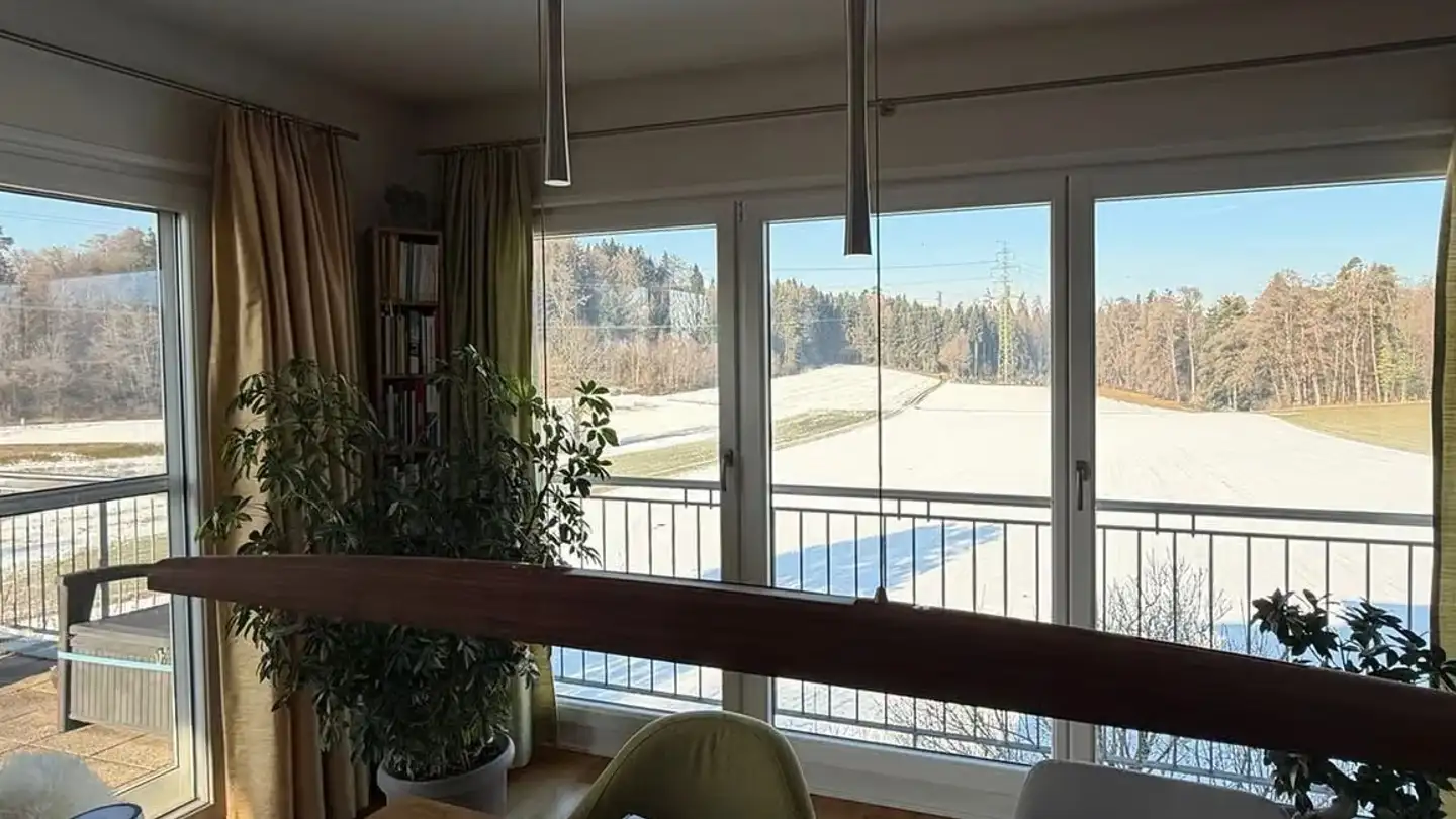 Duplex in affitto - 8607 Aathal-Seegräben - Foto 3