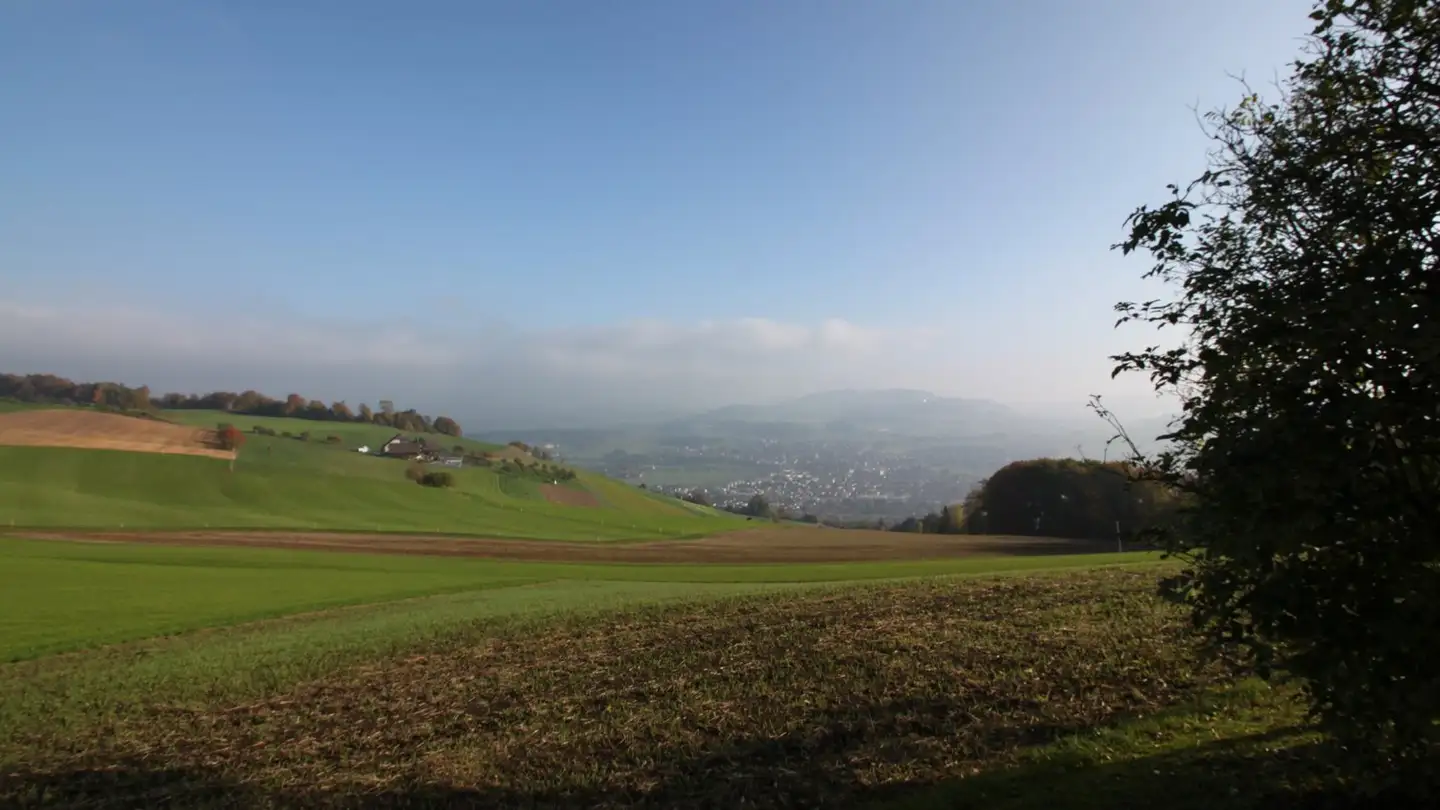 Appartamento in affitto - Grossmatt 15, 3124 Belpberg - Foto 3