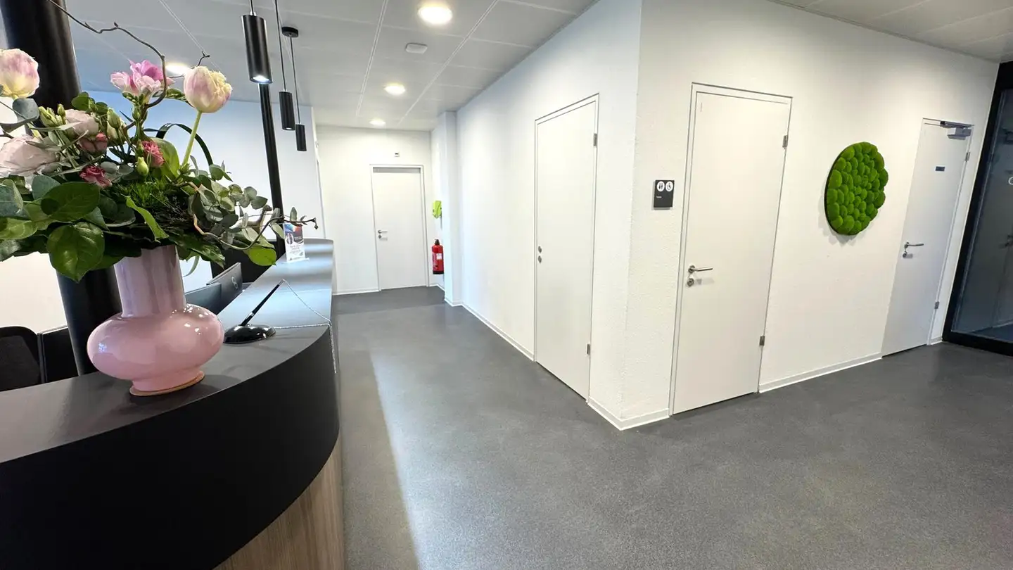 Spazio ufficio in affitto - Dammstrasse 3, 5070 Frick - Photo 3