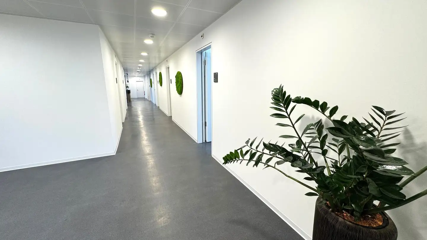 Spazio ufficio in affitto - Dammstrasse 3, 5070 Frick - Photo 4