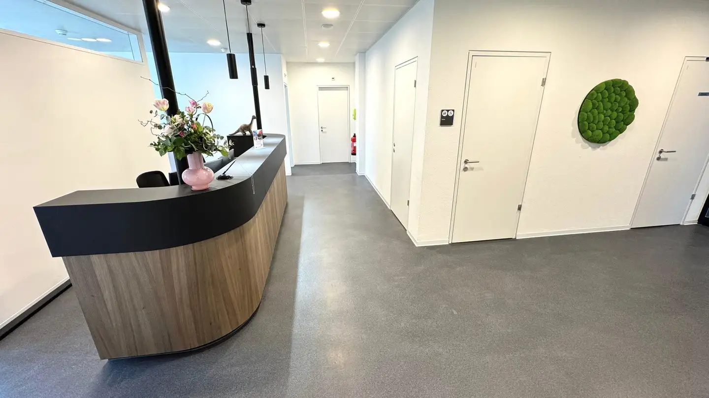 Spazio ufficio in affitto - Dammstrasse 3, 5070 Frick - Photo 2