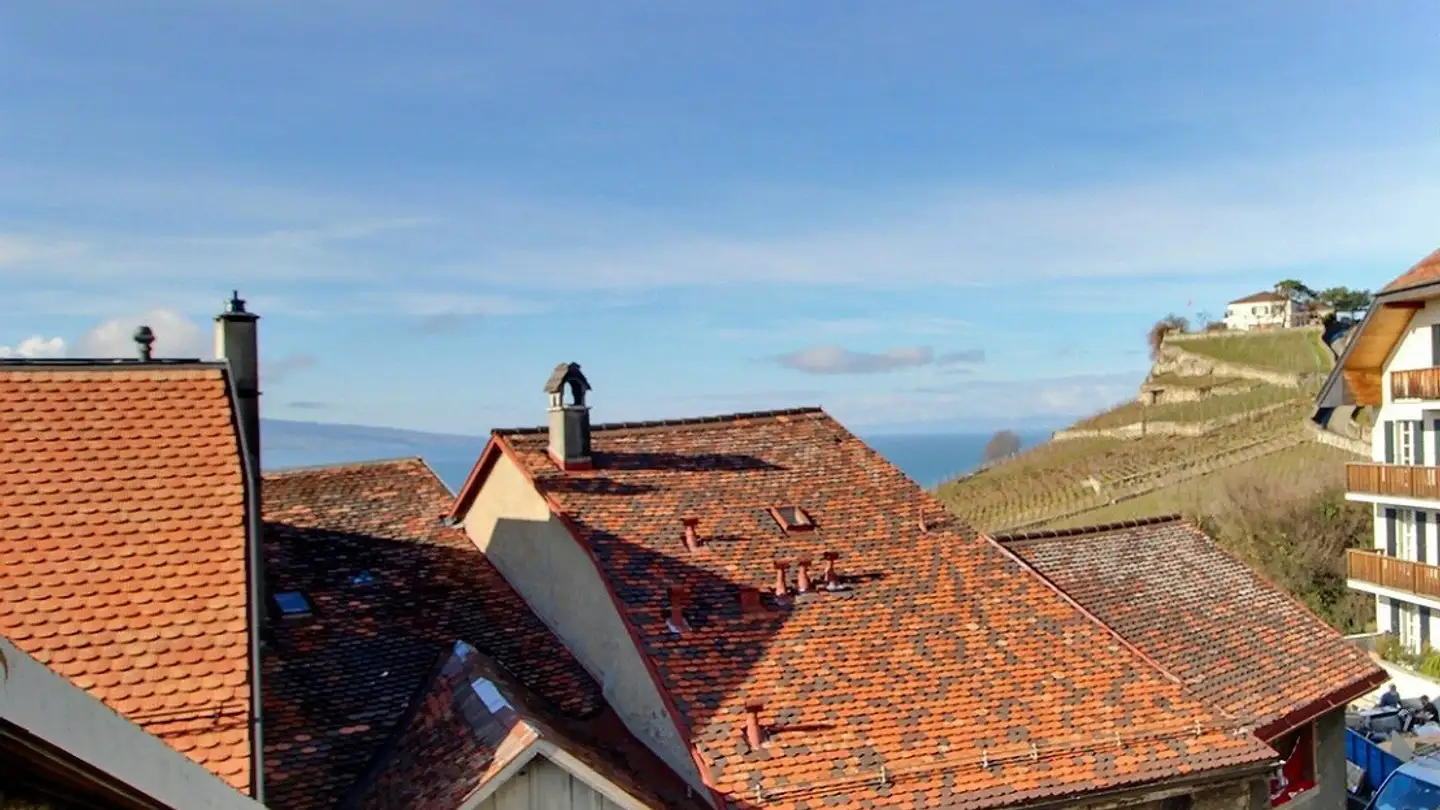 Casa singola in vendita - 1071 Rivaz - Photo 2