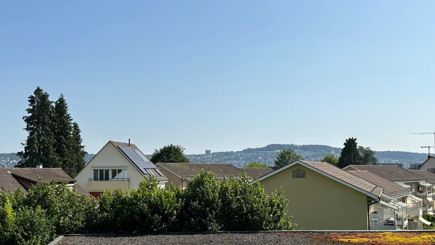 Appartamento in vendita - Bockhornstrasse 31, 8047 Zürich - Photo 4