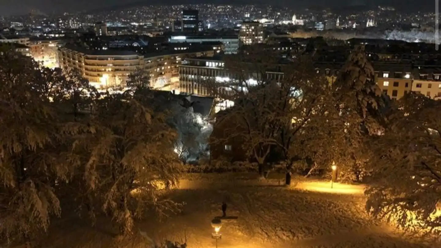 Single room for rent - 8055 Zürich - Photo 2