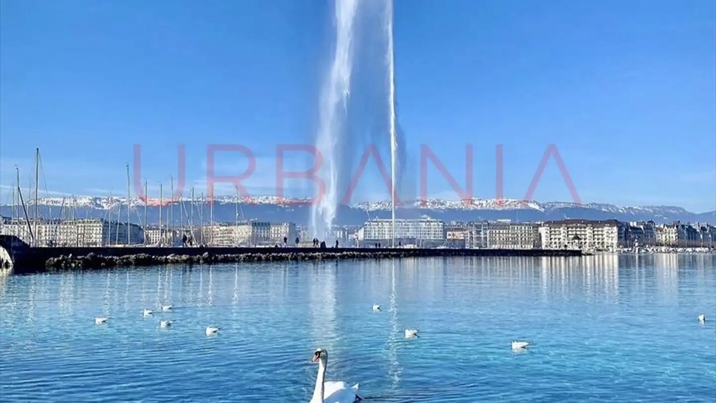 Residential building for sale - Rue Du Lac, 1207 Genève