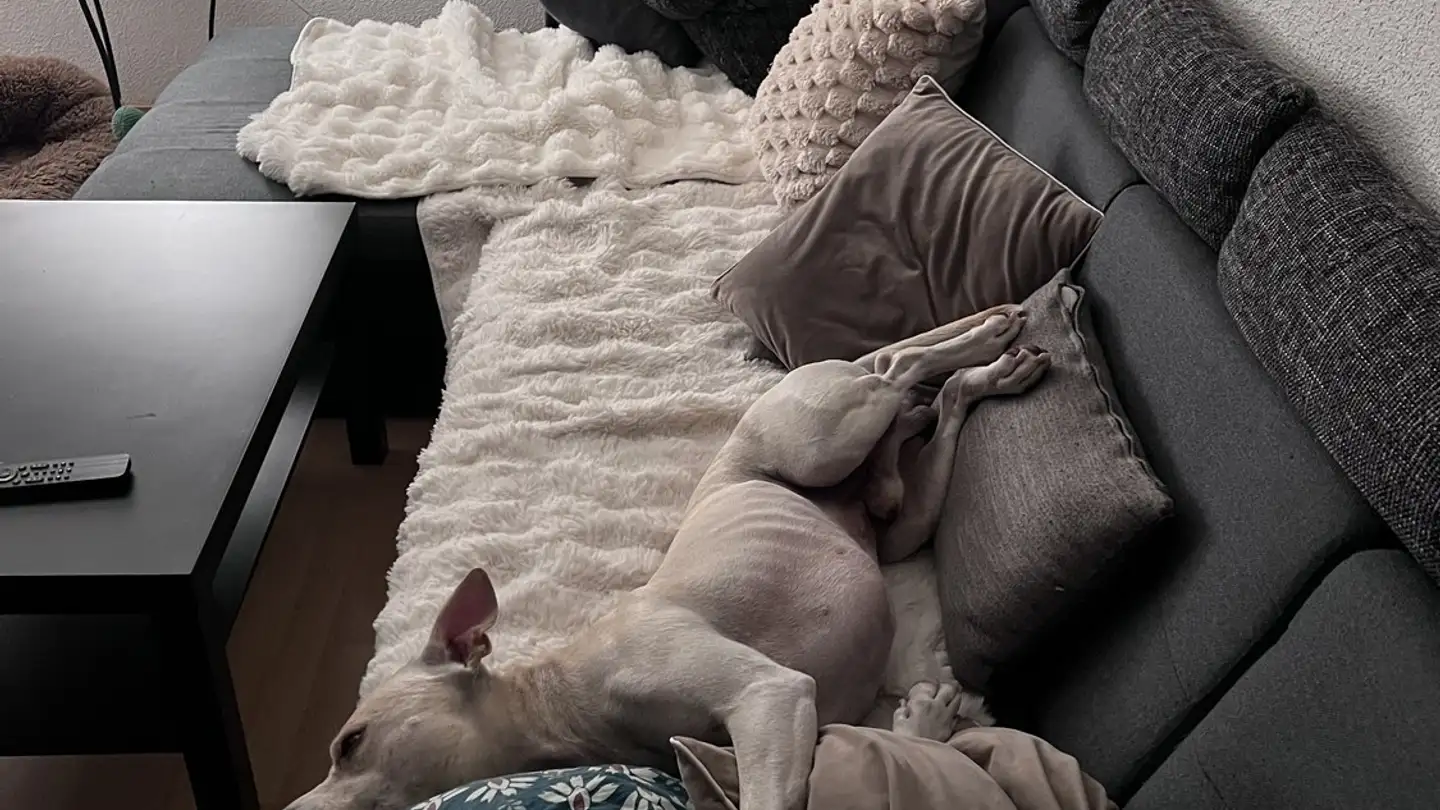 Zimmer mieten - 6014 Luzern - Foto 4