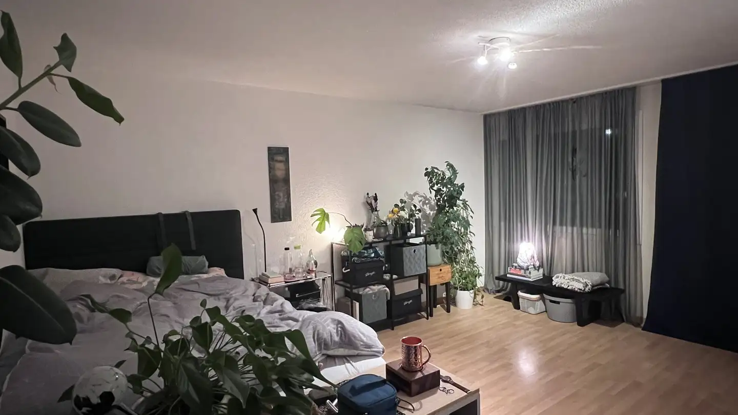 Zimmer mieten - 6014 Luzern