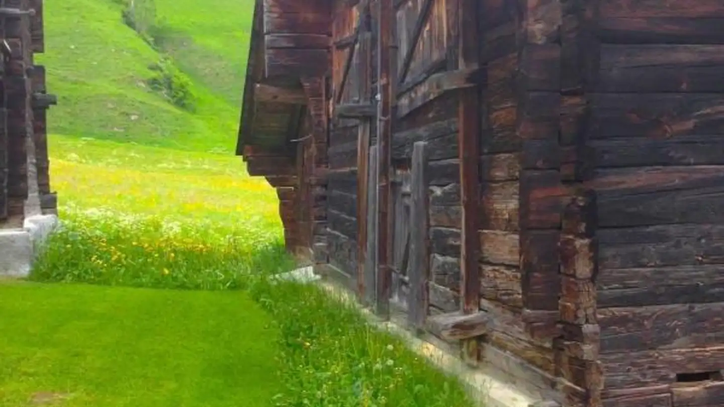 Casa singola in vendita - 3998 Gluringen - Photo 3