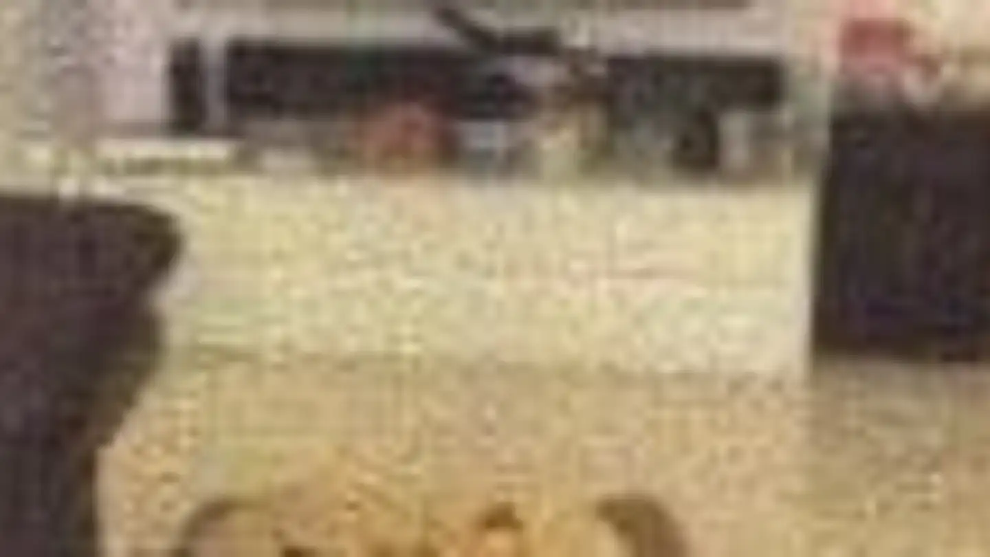 Wohnung mieten - Schöllerstrasse 5, 4552 Derendingen