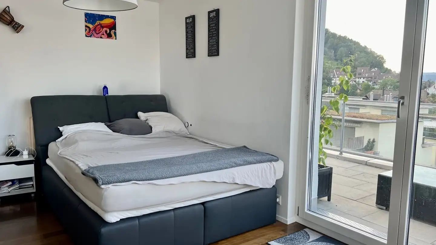Chambre à louer - Hagenbuchrain 32, 8047 Zürich - Photo 4