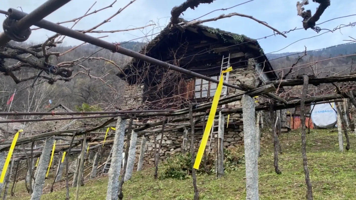 Casa singola in vendita - 6747 Chironico - Foto 4