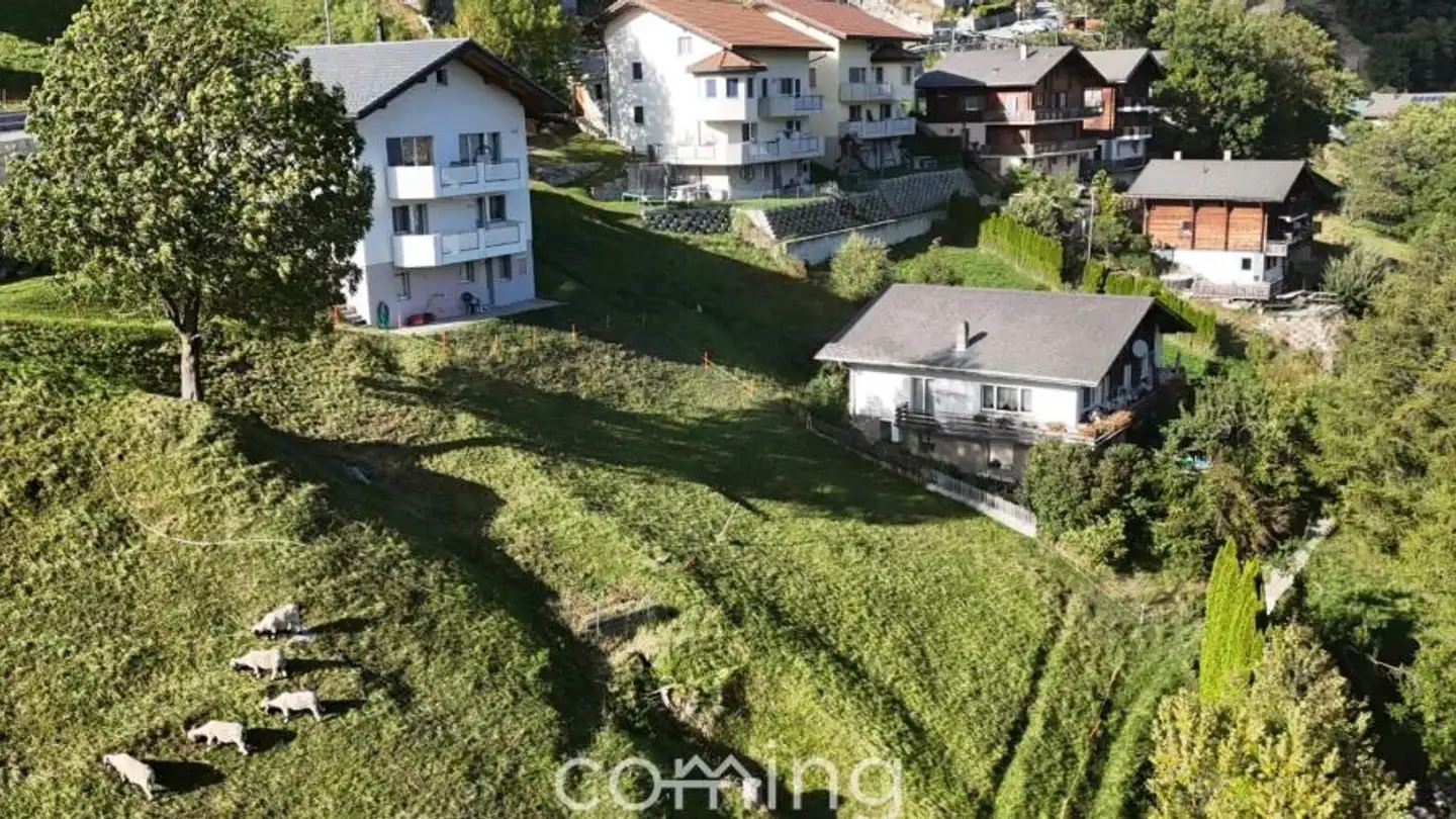 Constructible plot for sale - 3903 Mund - Photo 3