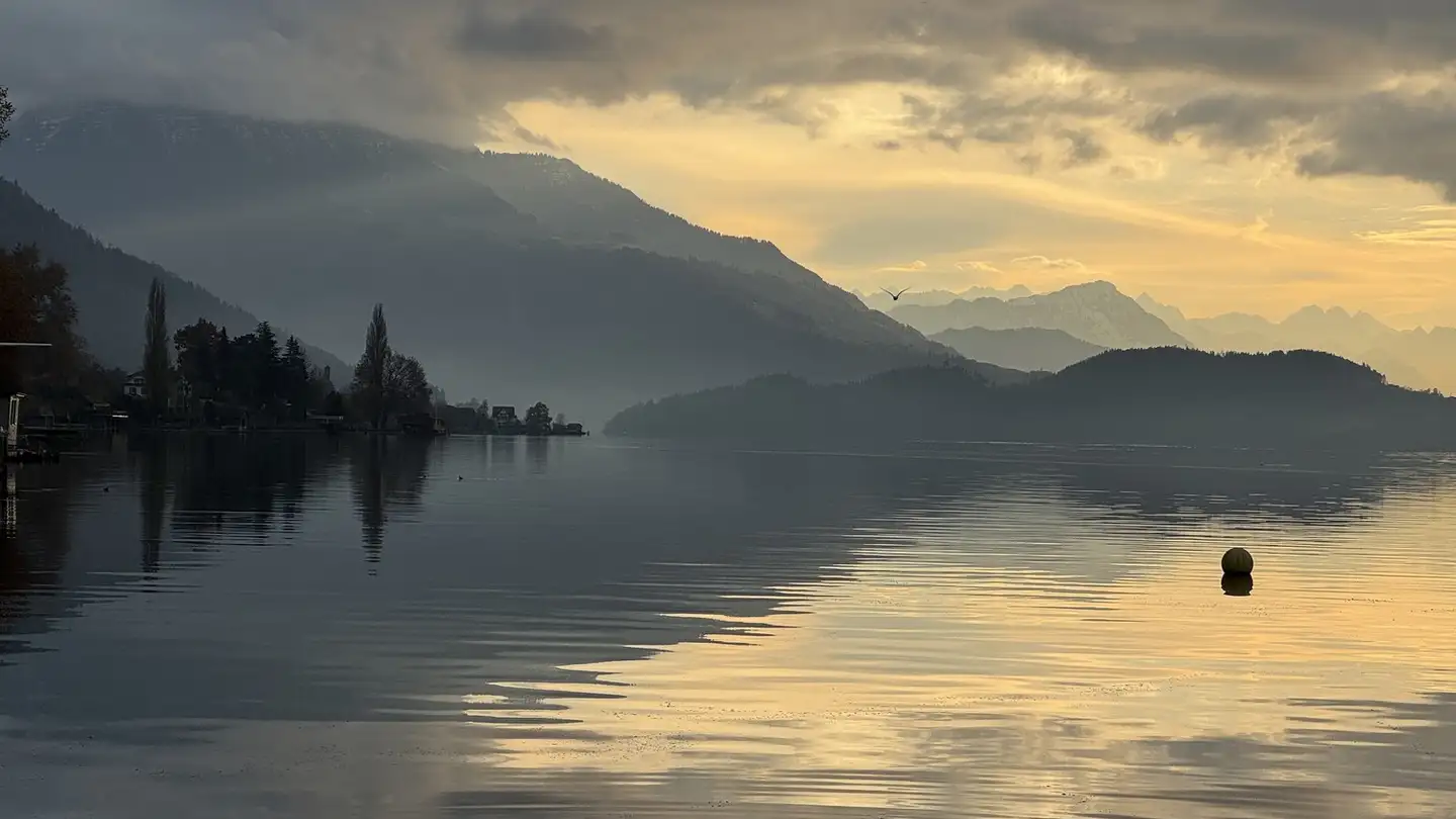 Appartamento in affitto - 6300 Zug - Foto 4