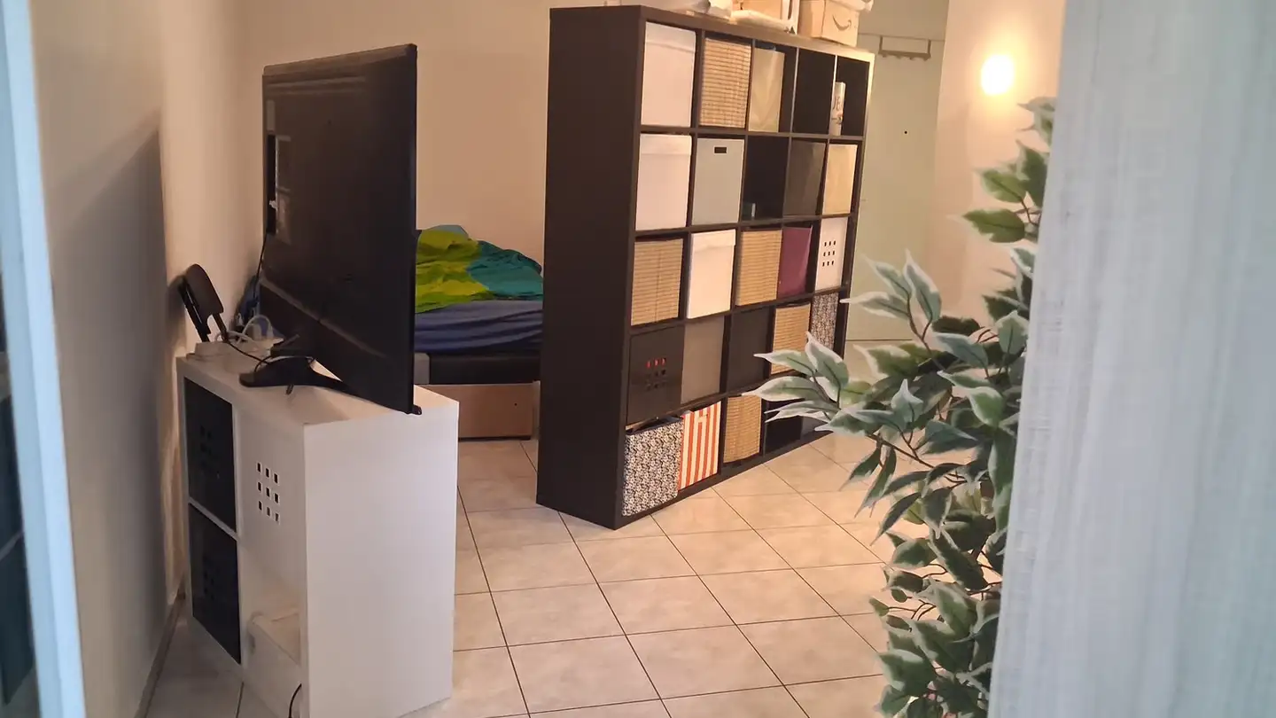 Apartment for rent - Via San Jorio, 6600 Locarno