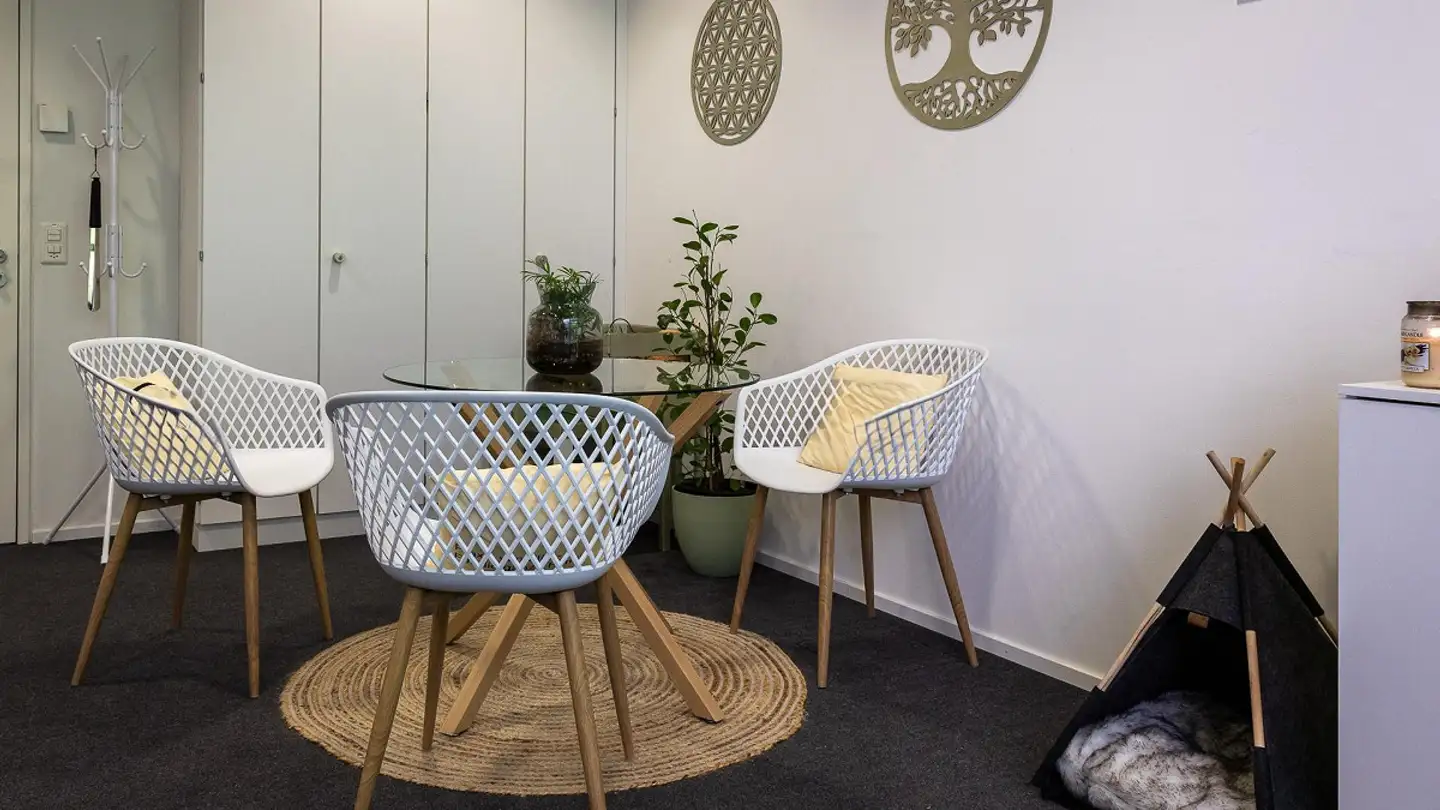 Appartamento in affitto - Sinserstrasse 65, 6330 Cham