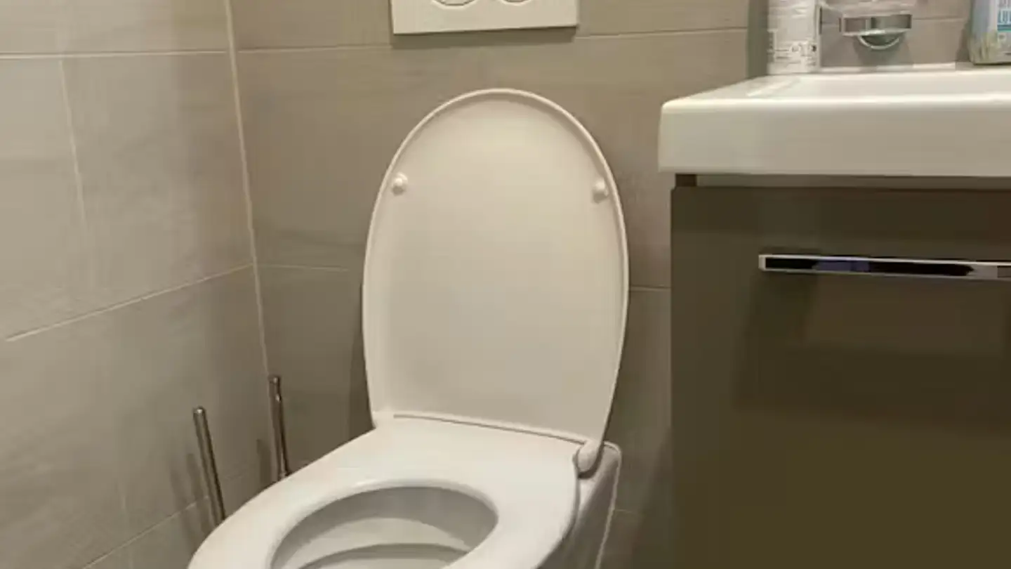 Einfamilienhaus mieten - Route De Colovrex, 1218 Le Grand-Saconnex - Foto 4