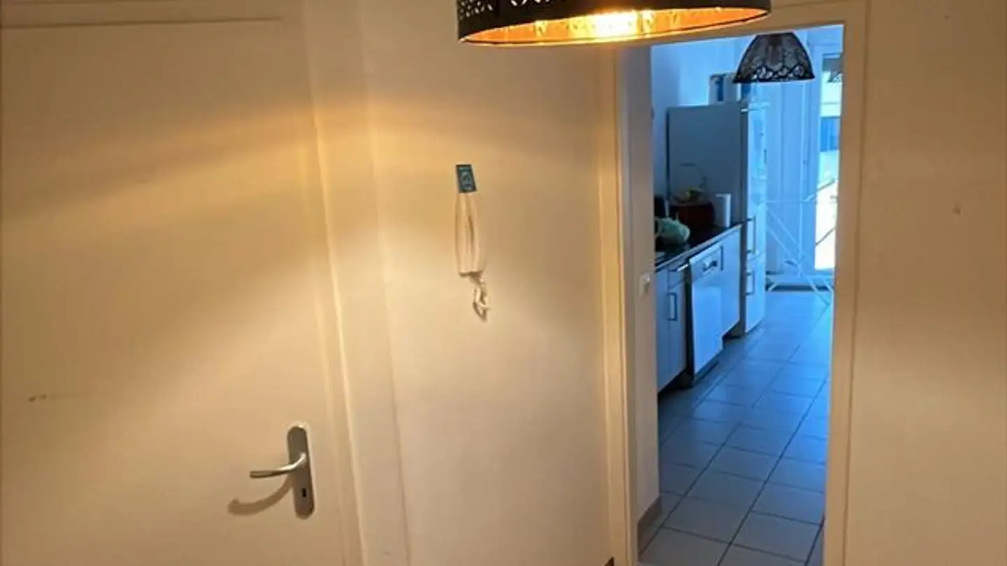 Appartamento in affitto - 1219 Châtelaine - Photo 2