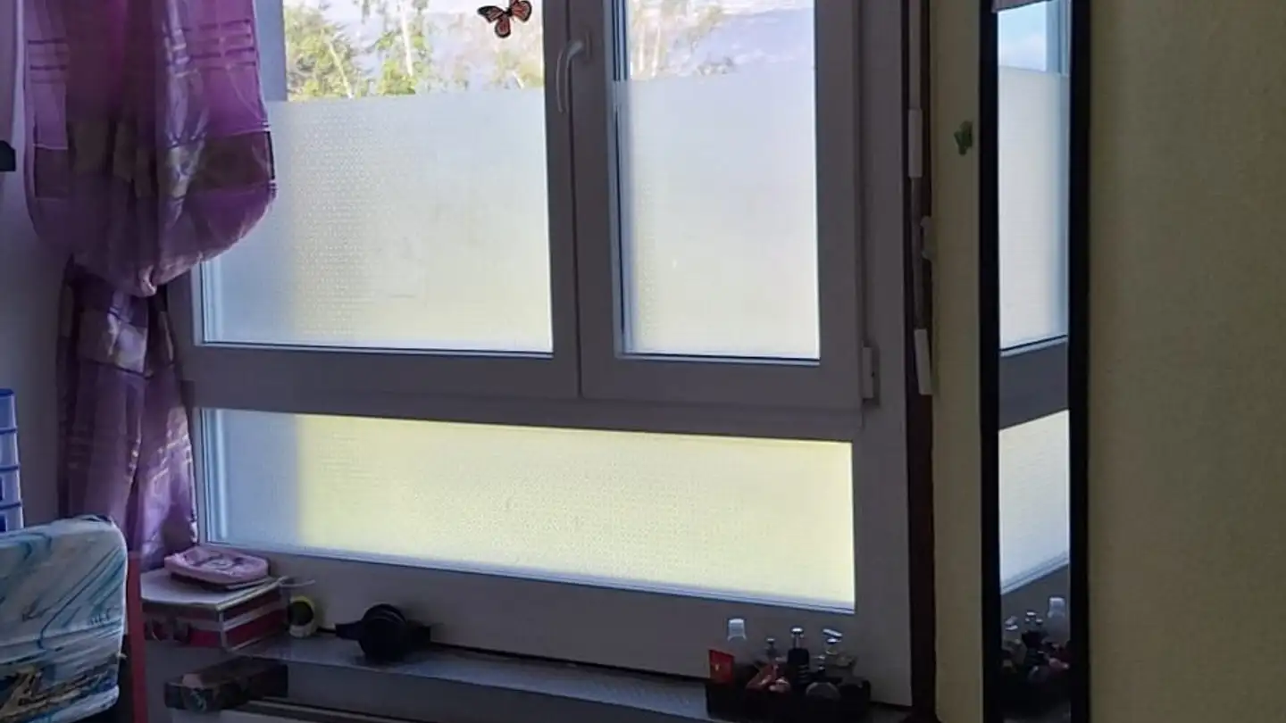 Chambre à louer - Route De Montfleury, 1214 Vernier - Photo 3