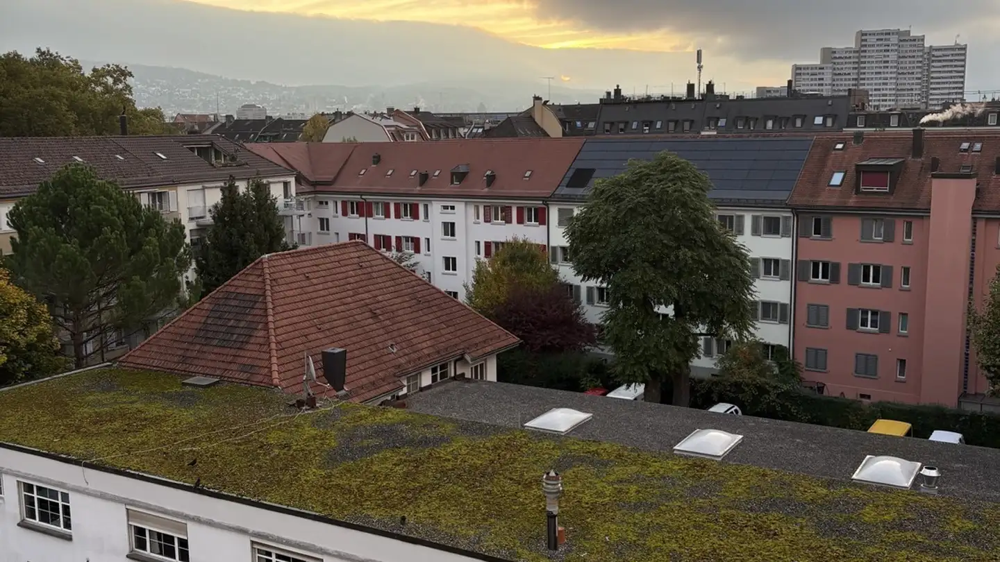 Chambre à louer - Badenerstrasse 338, 8004 Zürich - Photo 4