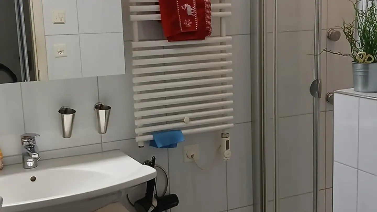 Apartment for rent - 9008 St. Gallen - Photo 4