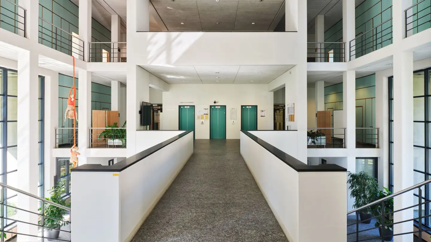 Bürofläche mieten - Unterer Rheinweg, 4057 Basel - Foto 2