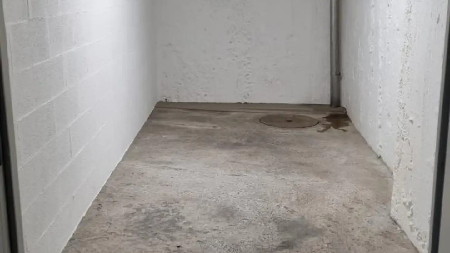 Storage space for rent - Rue Du Gothard 15, 1225 Chêne-Bourg - Photo 4