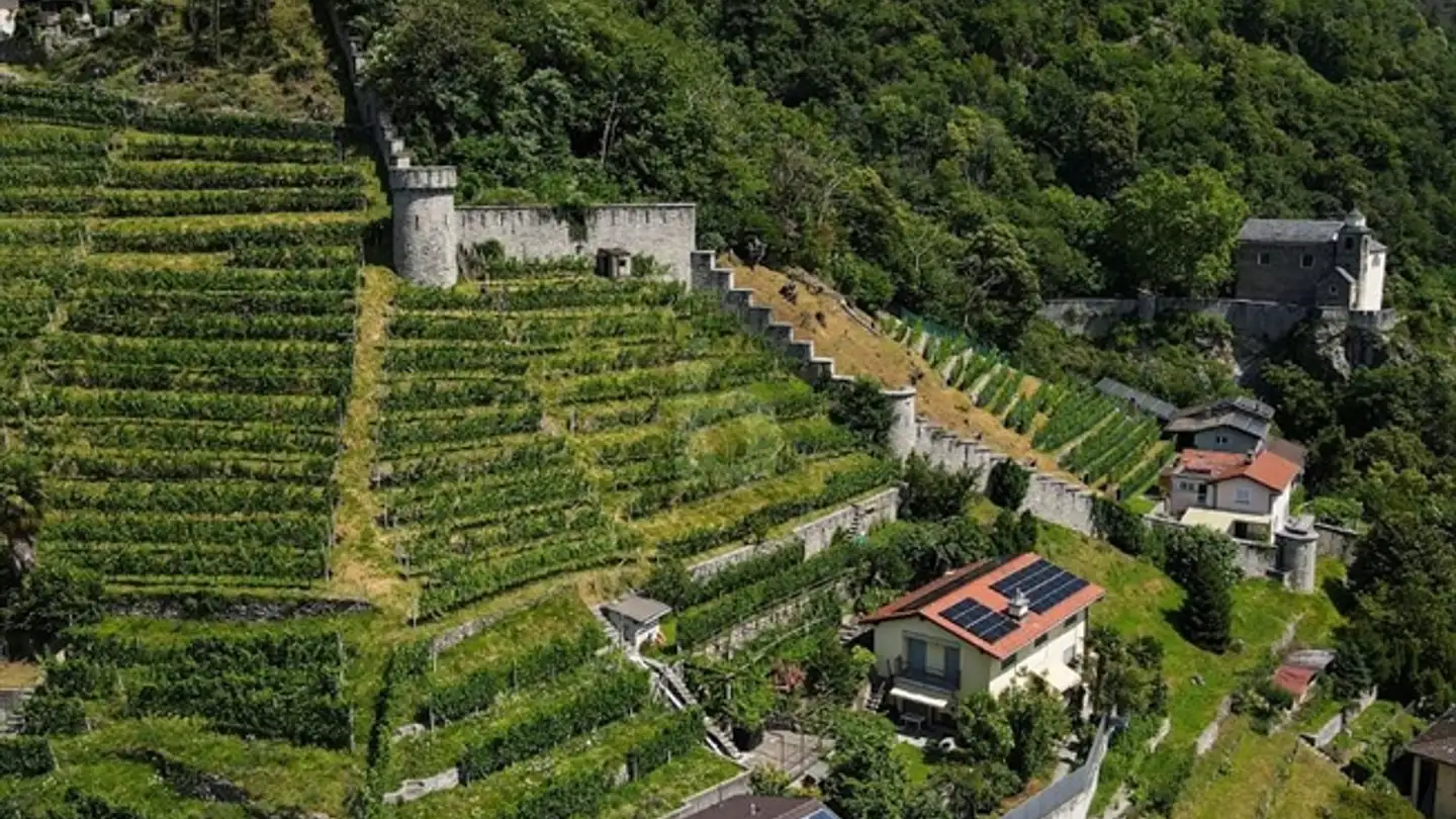 Appartamento in affitto - 6514 Sementina - Foto 2