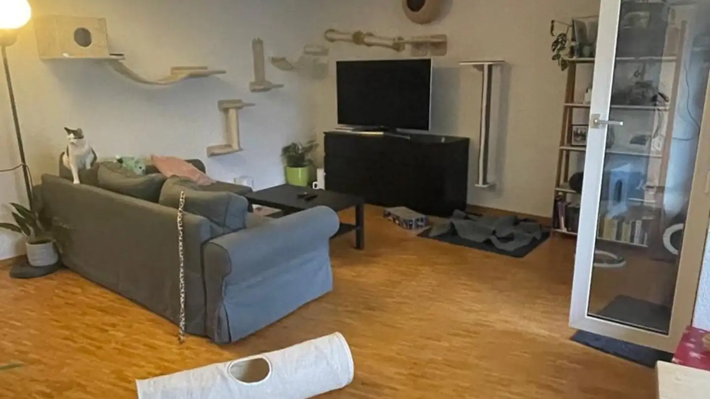 Appartement à louer - 3047 Bremgarten b. Bern