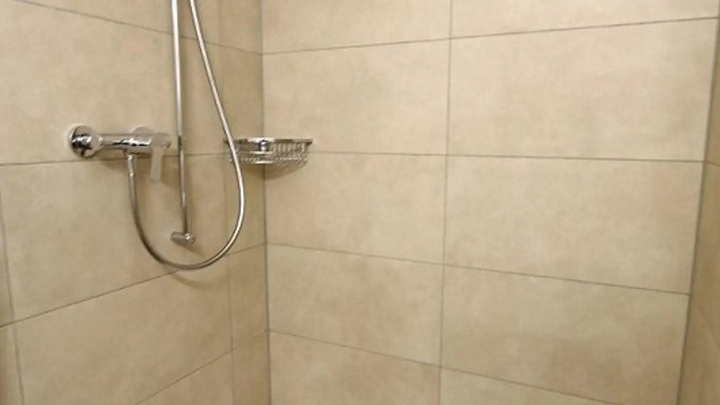 Appartamento in affitto - Zieglerstrasse 36, 3007 Bern - Foto 4