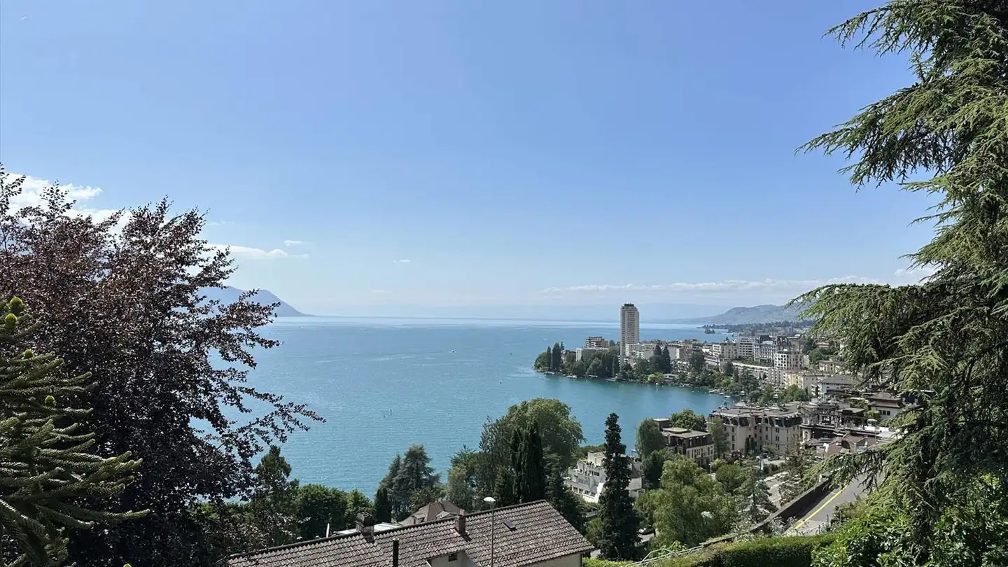 Wohnung kaufen - 1820 Montreux