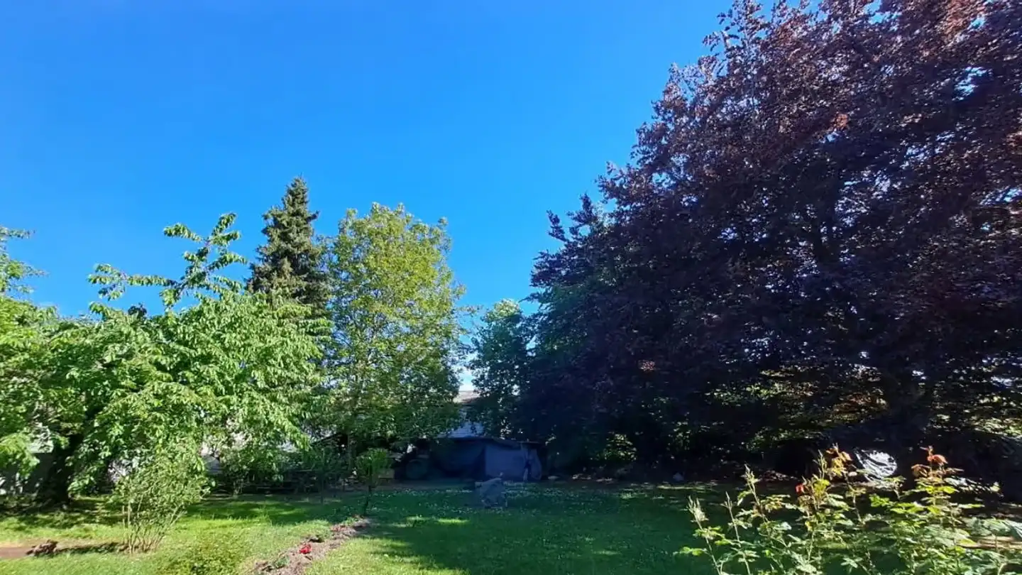 Studio for rent - 3280 Murten