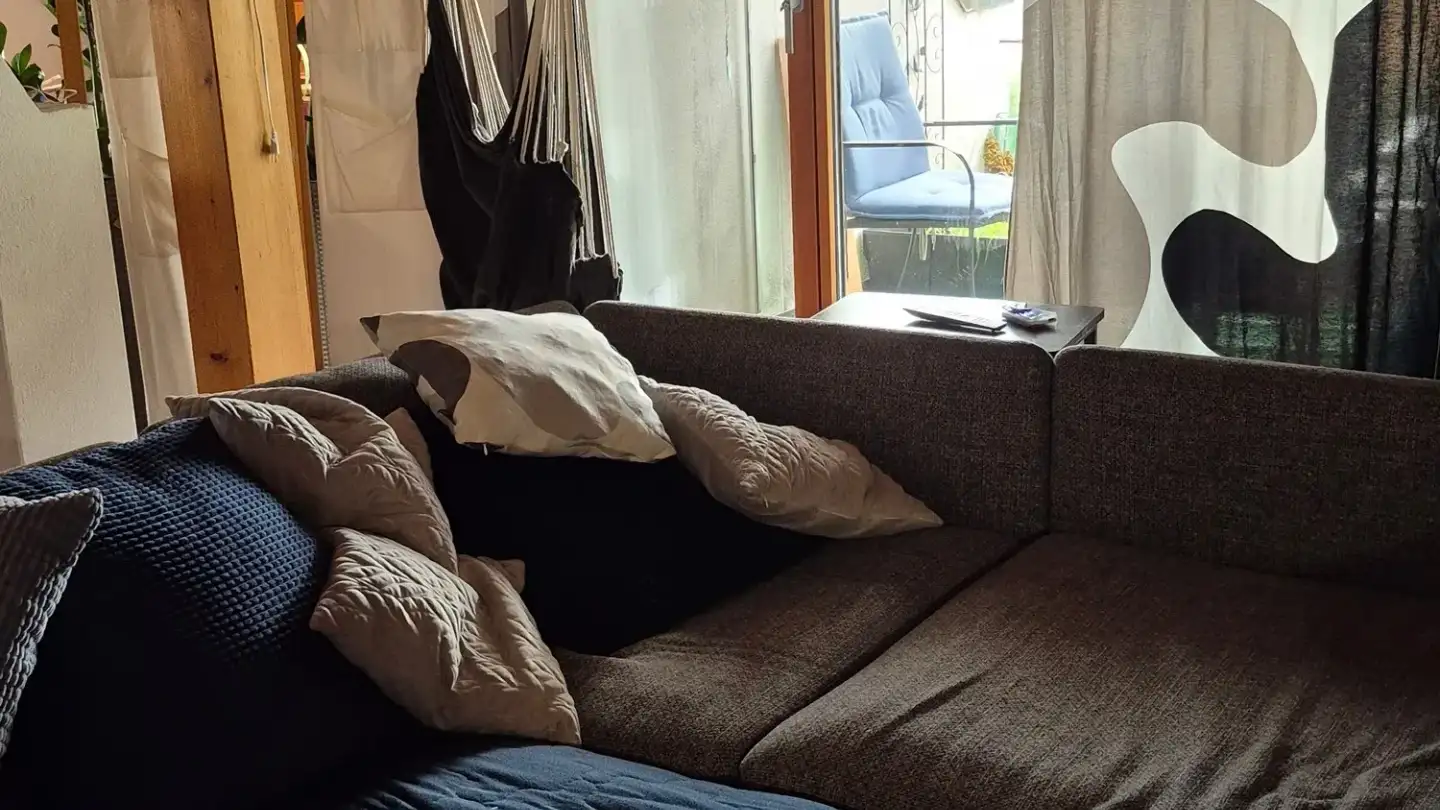 Attic flat for rent - Aligstrasse, 7015 Tamins - Photo 2