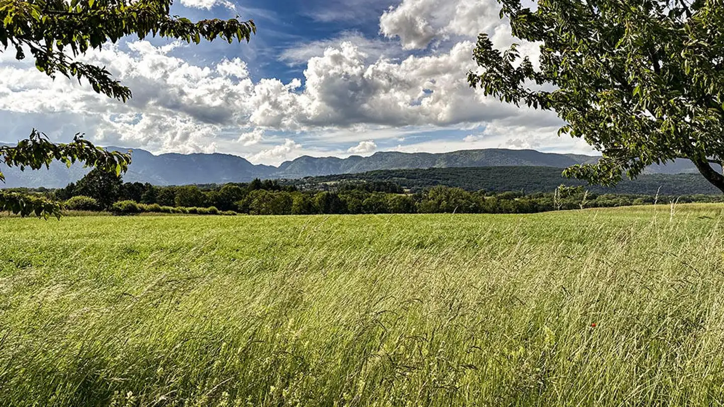 Villa à vendre - 1290 Chavannes-des-Bois