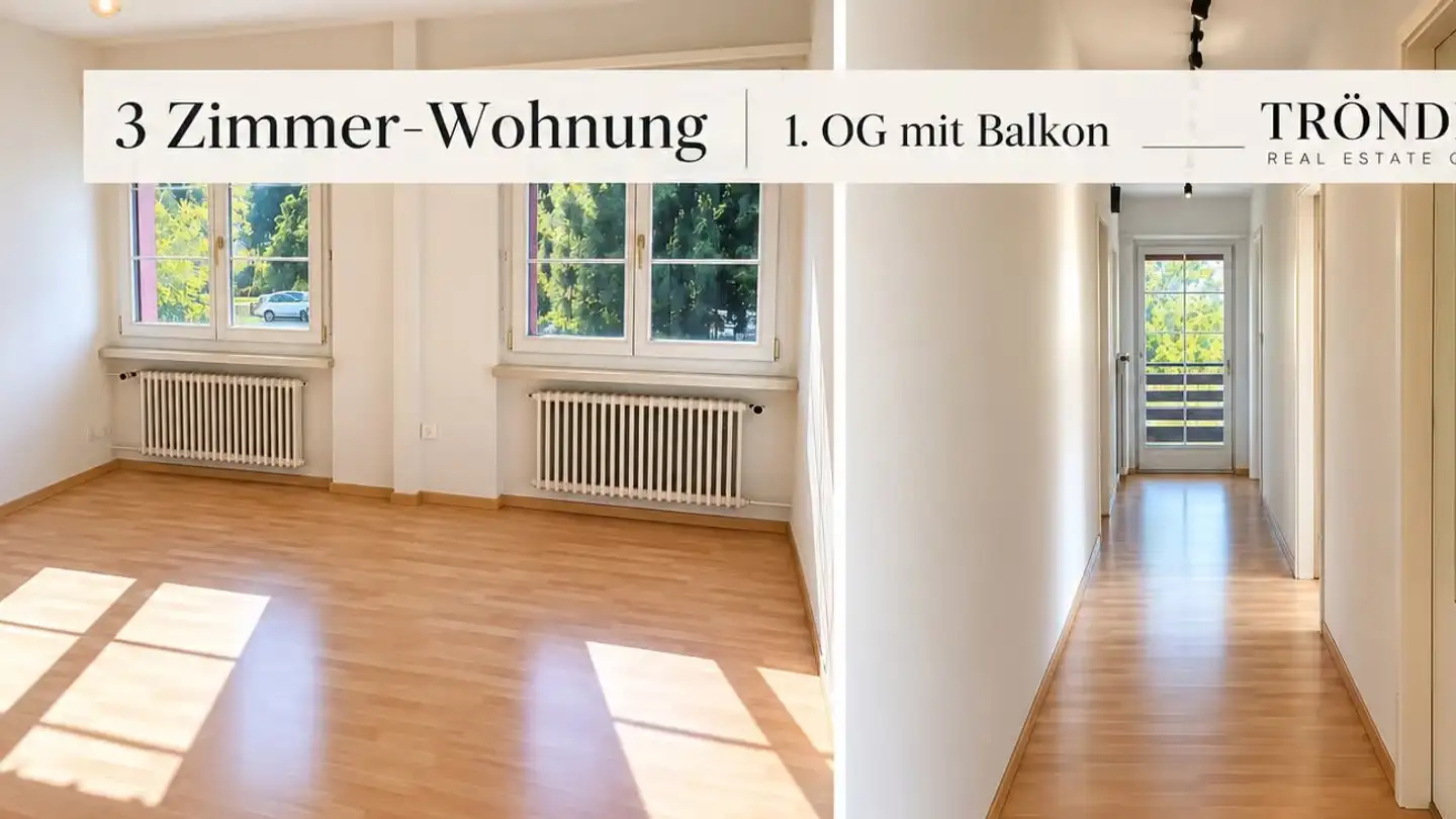 Wohnung mieten - Breitistrasse 3, 8606 Greifensee