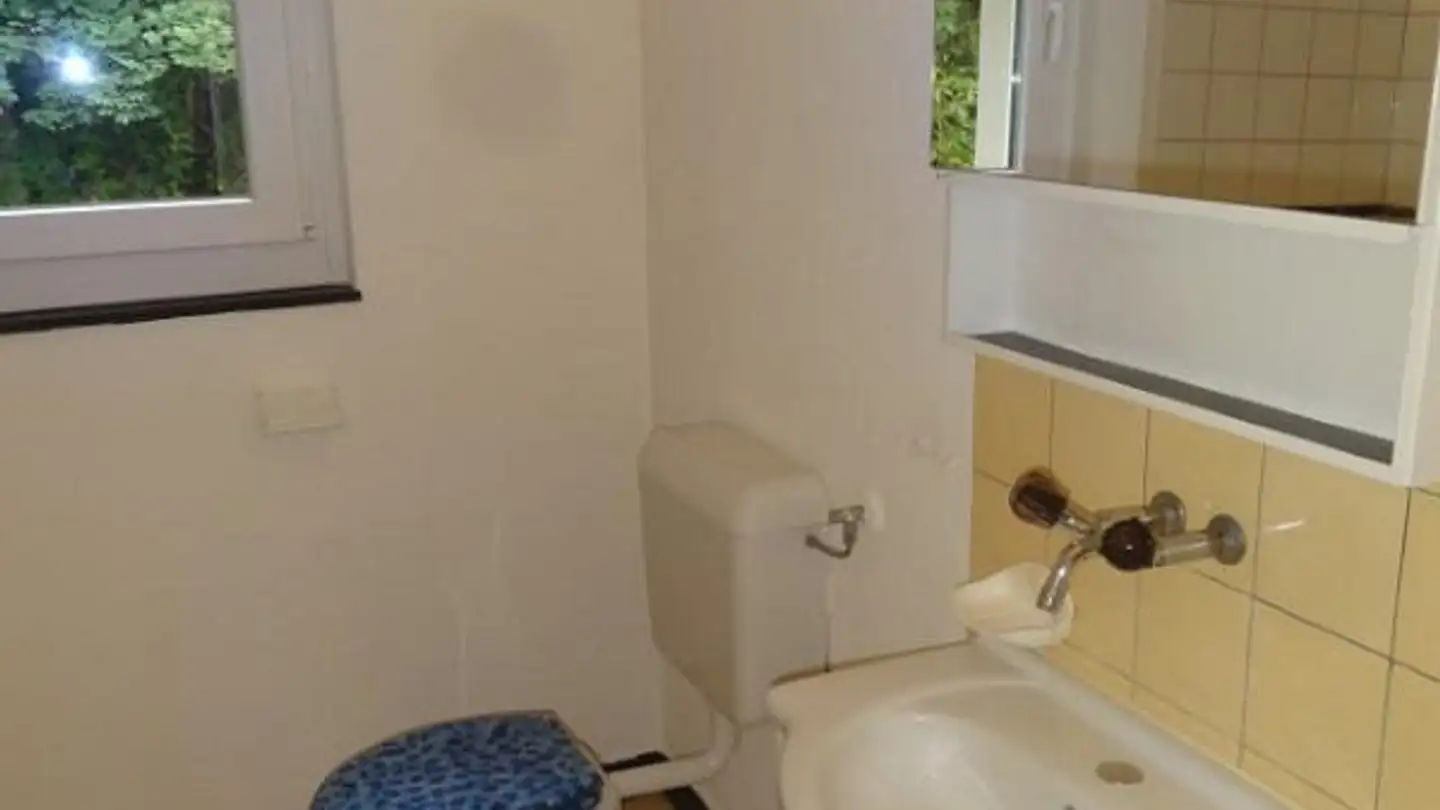 Apartment for rent - Krebsbachstrasse 77, 8200 Schaffhausen - Photo 3