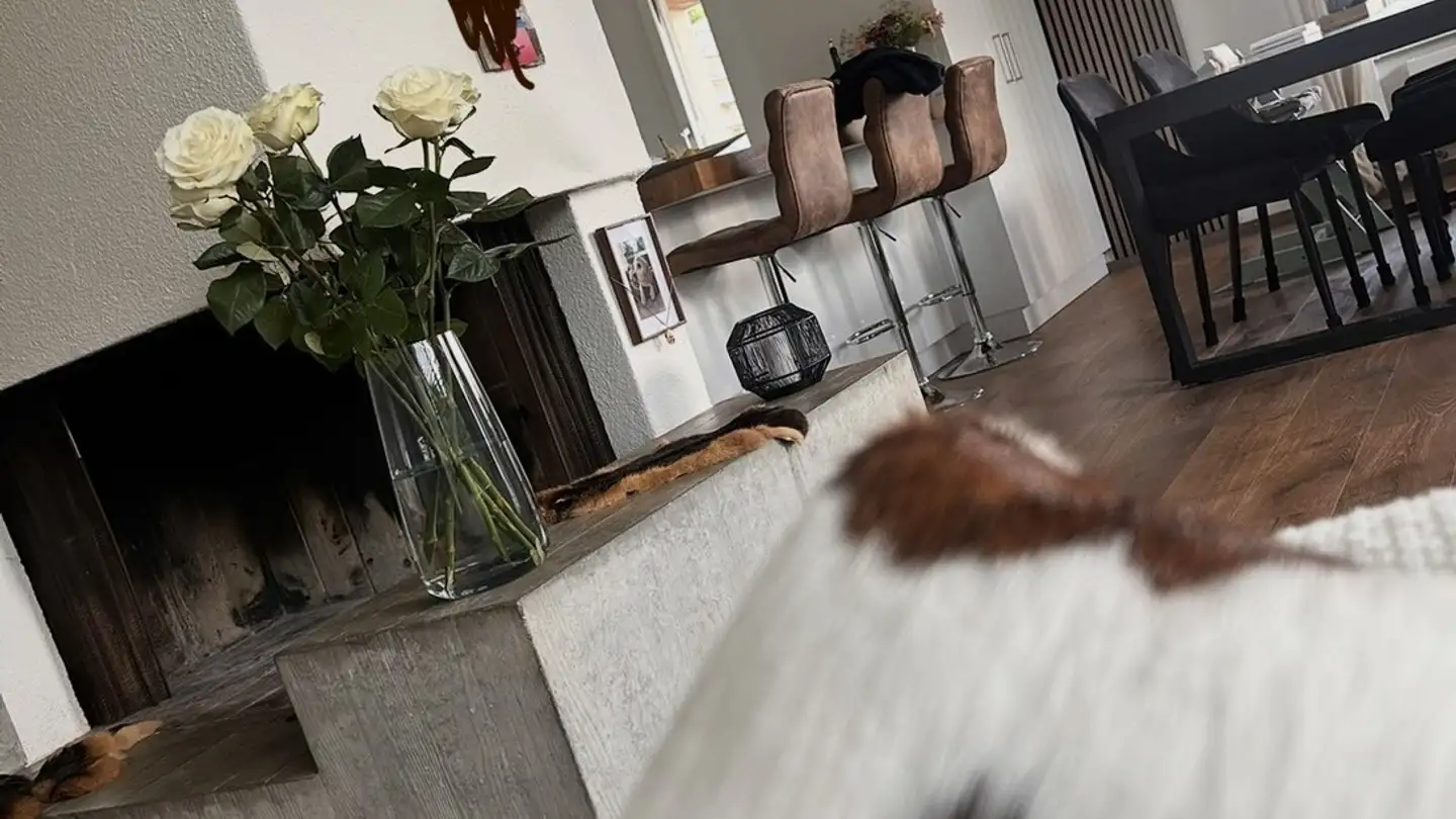 Apartment for rent - 8330 Pfäffikon ZH