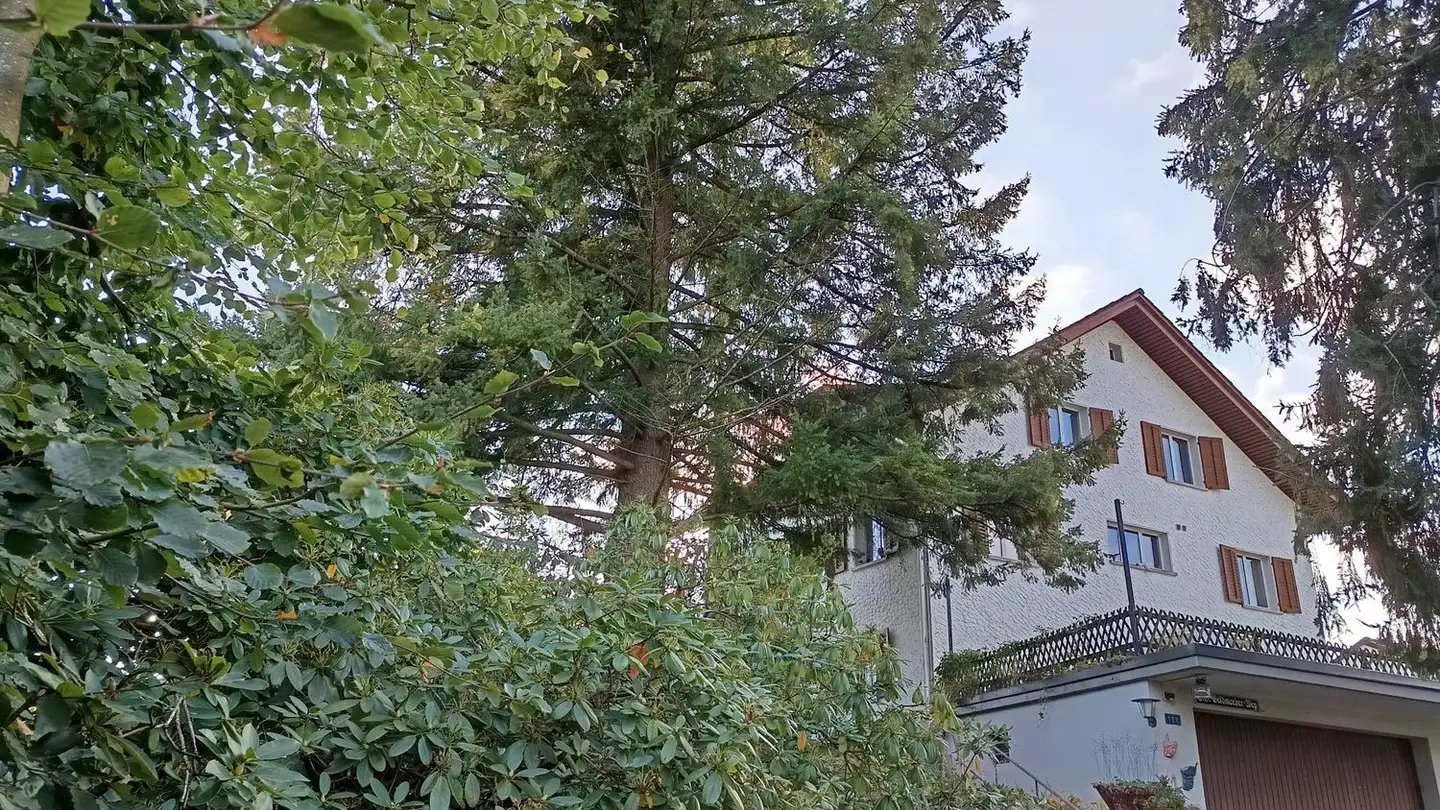 Studio in affitto - Hauptstrasse 111, 9052 Niederteufen