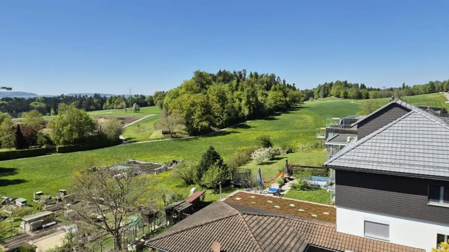 Appartamento in vendita - Langweidstrasse 3, 8624 Grüt (Gossau ZH) - Foto 4